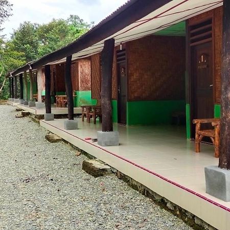 Green Lodge Tangkahan Экстерьер фото