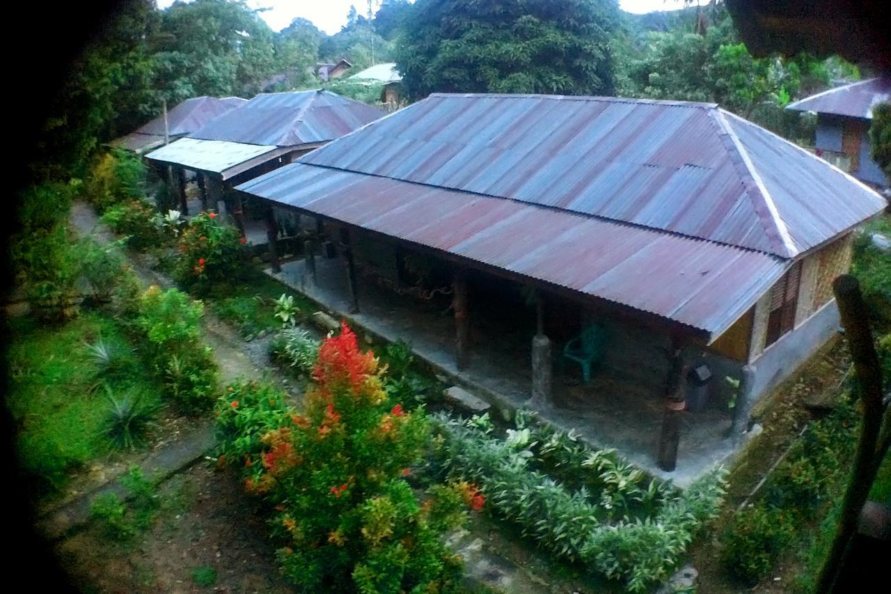 Green Lodge Tangkahan Экстерьер фото