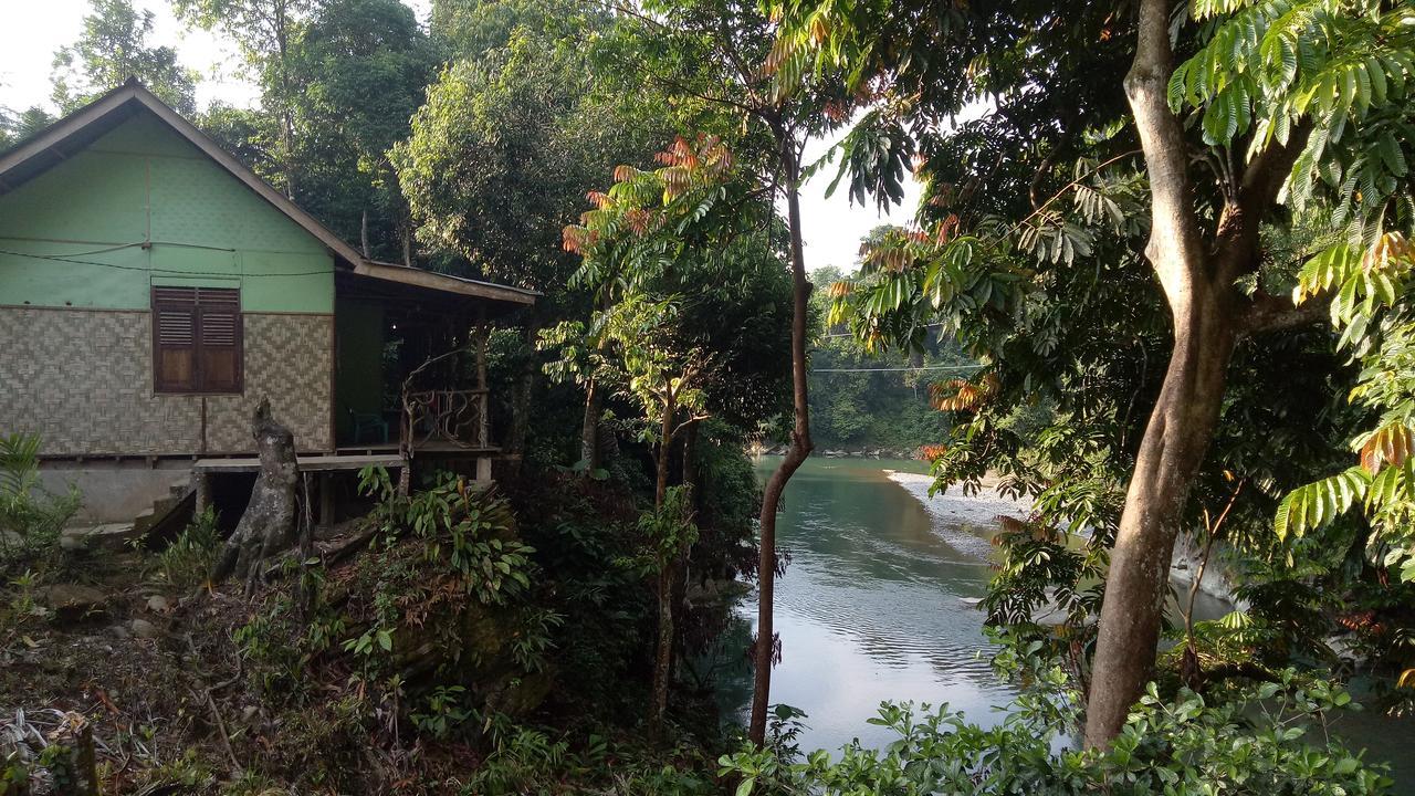 Green Lodge Tangkahan Экстерьер фото