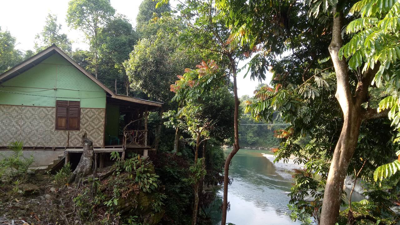 Green Lodge Tangkahan Экстерьер фото